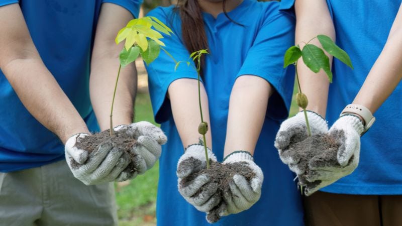 Easy Ways to Reduce Plastic Pollution with Somewang