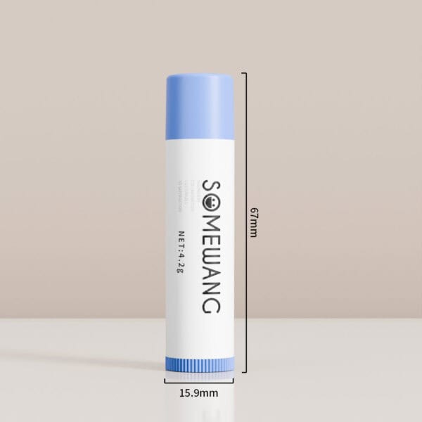 4.2g empty PP oval lip tube with blue screw cap, 67mm tall, 15.9mm wide—stylish and convenient for lip products.